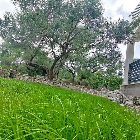 Vila Dolani Klek Exteriér fotografie