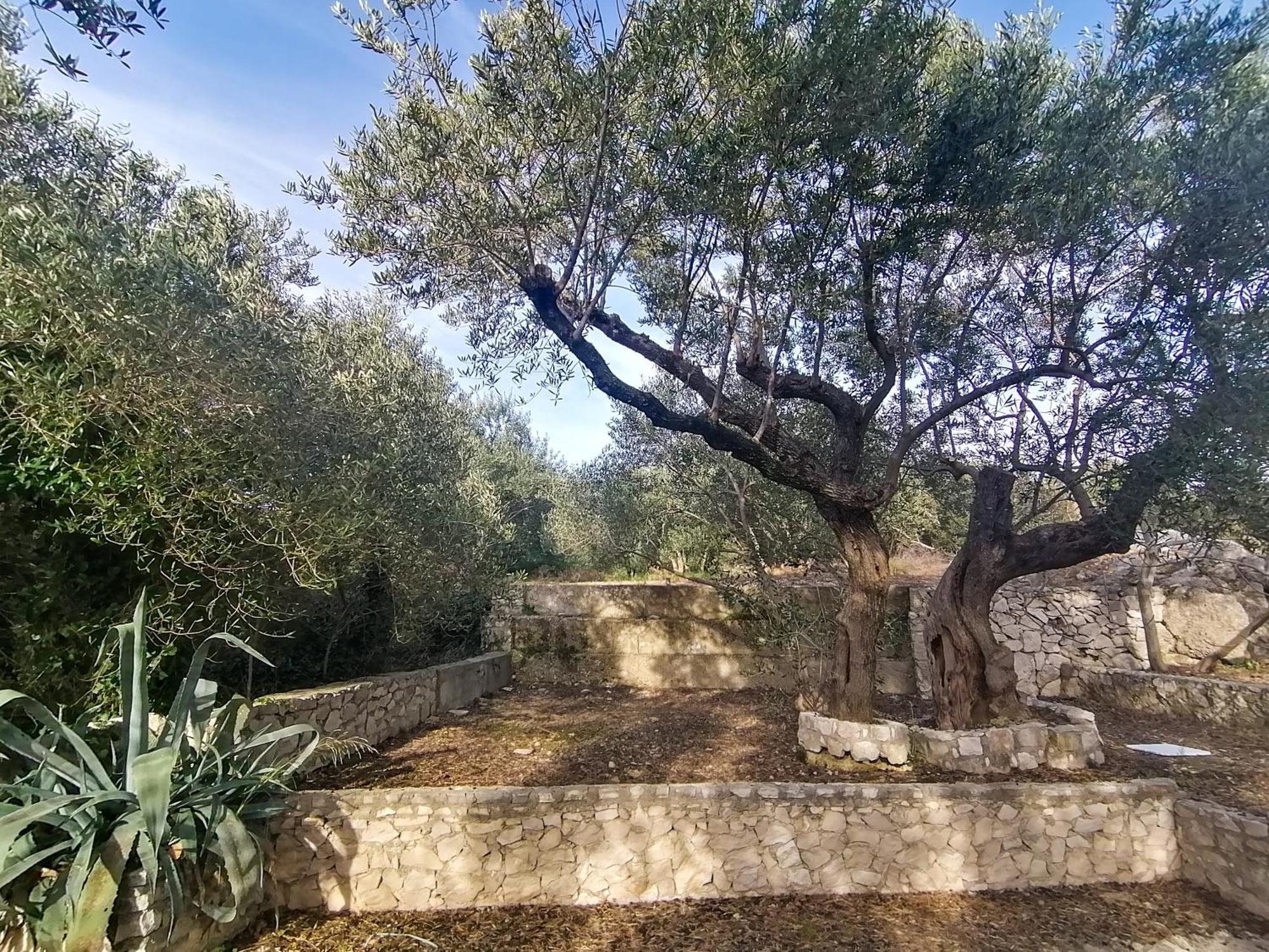 Vila Dolani Klek Exteriér fotografie