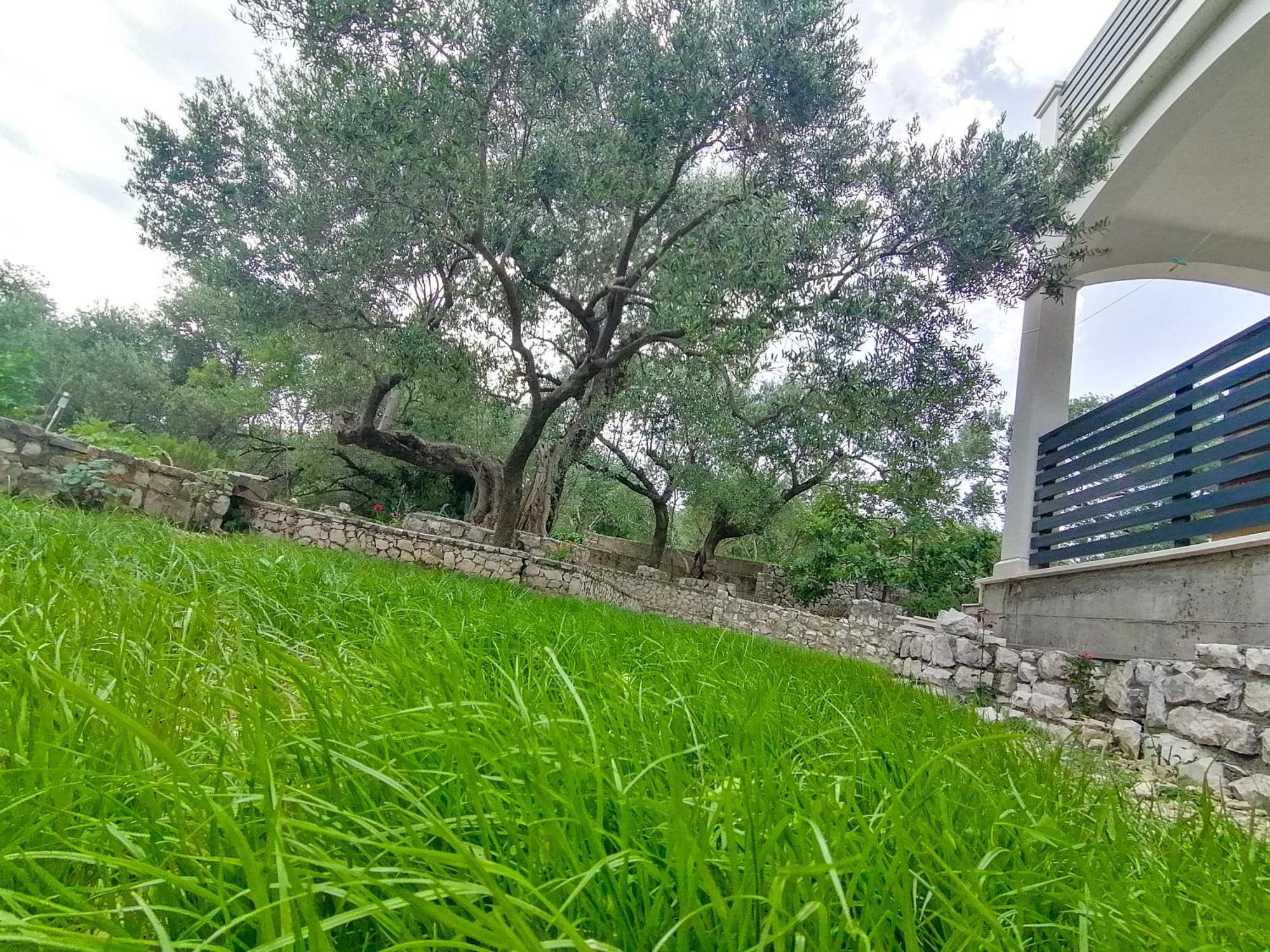 Vila Dolani Klek Exteriér fotografie